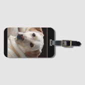 Yellow Labrador Retriever Gepäckanhänger (Vorderseite (Horizontal))