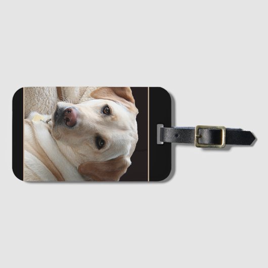 Yellow Labrador Retriever Gepäckanhänger (Vorderseite (Horizontal))