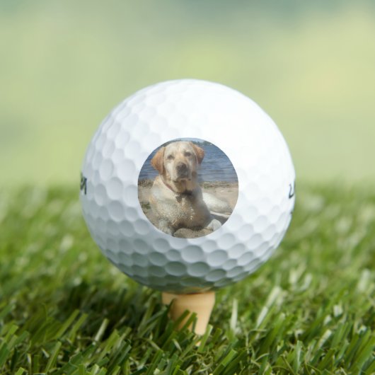 Yellow Labrador Retriever Golfball (Insitu T-Shirt)