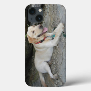 Yellow Labrador Retriever iPhone 8 Fall Case-Mate iPhone Hülle