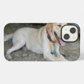 Yellow Labrador Retriever iPhone 8 Fall Hülle (Rückseite (Horizontal))