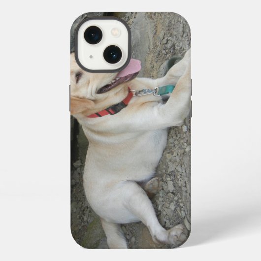 Yellow Labrador Retriever iPhone 8 Fall Hülle (Rückseite)