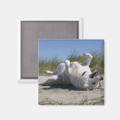 Yellow Labrador Retriever Magnet (Vorderseite/Rückseite)