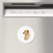 Yellow Labrador Retriever Magnet (In Situ (Geschirrspüler))