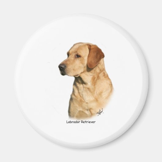 Yellow Labrador Retriever Magnet (Vorne)
