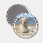 Yellow Labrador Retriever Magnet (Vorderseite/Rückseite)