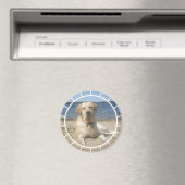 Yellow Labrador Retriever Magnet (In Situ (Geschirrspüler))