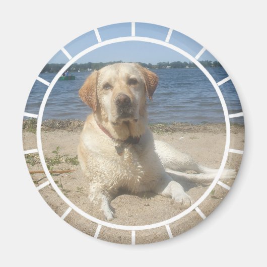 Yellow Labrador Retriever Magnet (Vorne)
