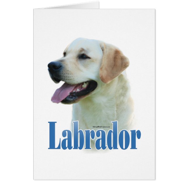 Yellow Labrador Retriever Name (Vorne)