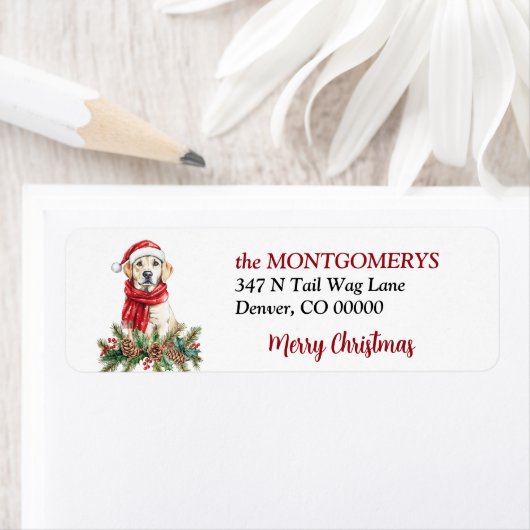 Yellow Labrador Retriever Pine Bough Christmas (Insitu)