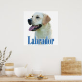Yellow Labrador Retriever Poster (Küche)