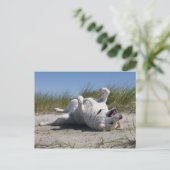 Yellow Labrador Retriever Postkarte (Stehend Vorderseite)