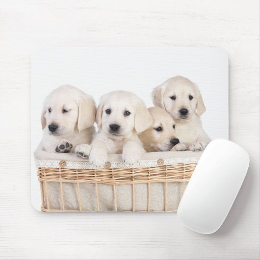 Yellow Labrador Retriever Puppies Mousepad (Mit Mouse)