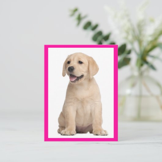 Yellow Labrador Retriever Puppy Dog Postcard Postkarte (Stehend Vorderseite)