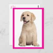 Yellow Labrador Retriever Puppy Dog Postcard Postkarte (Vorne/Hinten)