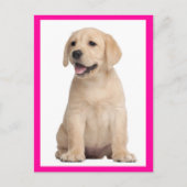Yellow Labrador Retriever Puppy Dog Postcard Postkarte (Vorderseite)