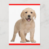 Yellow Labrador Retriever Puppy Dog Postcard Postkarte (Vorderseite)