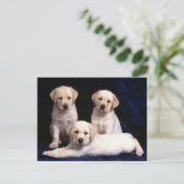 Yellow Labrador Retriever Puppy Dog Postcard Postkarte (Stehend Vorderseite)