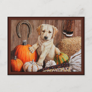 Yellow Labrador Retriever Puppy Doppy Pumpkin Herb Feiertagspostkarte
