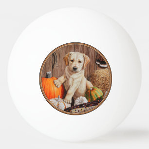 Yellow Labrador Retriever Puppy Doppy Pumpkin Herb Tischtennisball