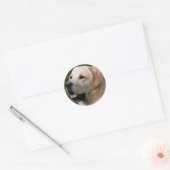 Yellow Labrador Retriever Puppy Doppy Sticker / Si (Umschlag)