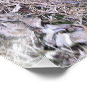 Yellow Labrador Retriever Puppy Foto Print (Ecke)