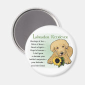 Yellow Labrador Retriever Puppy Gips Magnet (Vorderseite/Rückseite)