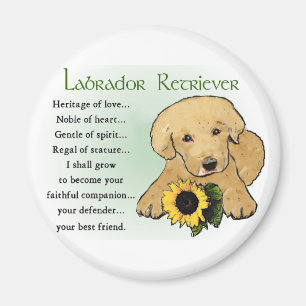 Yellow Labrador Retriever Puppy Gips Magnet
