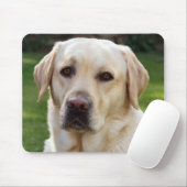 Yellow Labrador Retriever Puppy Hund - Green Mousepad (Mit Mouse)