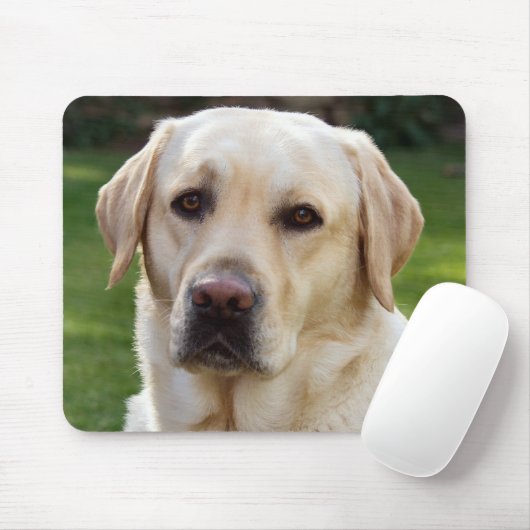 Yellow Labrador Retriever Puppy Hund - Green Mousepad (Mit Mouse)