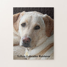 Yellow Labrador Retriever Puzzle