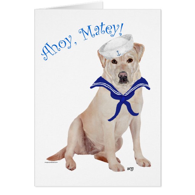 Yellow Labrador Retriever Sailor (Vorne)