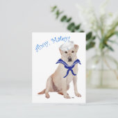Yellow Labrador Retriever Sailor Postkarte (Stehend Vorderseite)