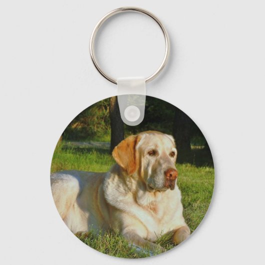 Yellow Labrador Retriever Schlüsselanhänger (Vorderseite)