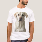 Yellow Labrador Retriever T-Shirt (Vorderseite)