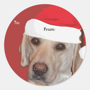 Yellow Labrador Retriever to/From Xmas Aufkleber