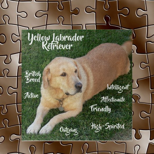 Yellow Labrador Retriever Tracks Game Puzzle