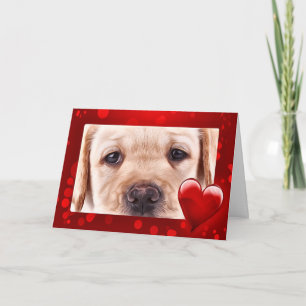 Yellow Labrador Valentine Puppy Feiertagskarte