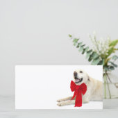 Yellow labrador Weihnachten (Stehend Vorderseite)