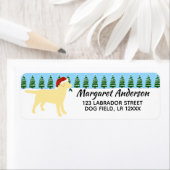 Yellow Labrador Weihnachtsfeier Weihnachtsfeier Rü (Insitu)