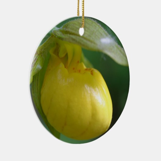Yellow Lady Slipper Blume Ornament (Rechts)