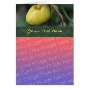 Yellow Lady Slipper Orchid Blume Foto Card