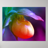 Yellow Lady Slipper Orchid Blume Tinte Poster (Vorne)