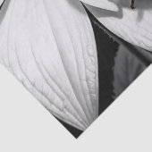 Yellow Ladybugs Käfer auf Schwarz-weißer Blume Seidenpapier (Detail)