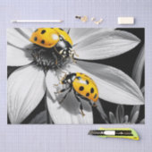Yellow Ladybugs Käfer auf Schwarz-weißer Blume Seidenpapier (Handwerk)