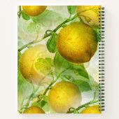 Yellow Lemons Rezept Buch (Rückseite)
