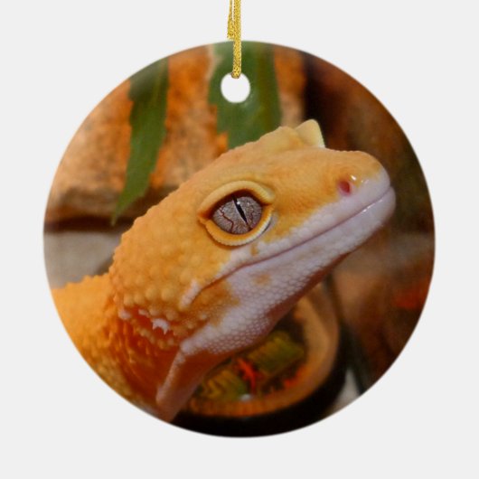 Yellow Leopard Gecko Lizard Keramik Ornament (Hinten)