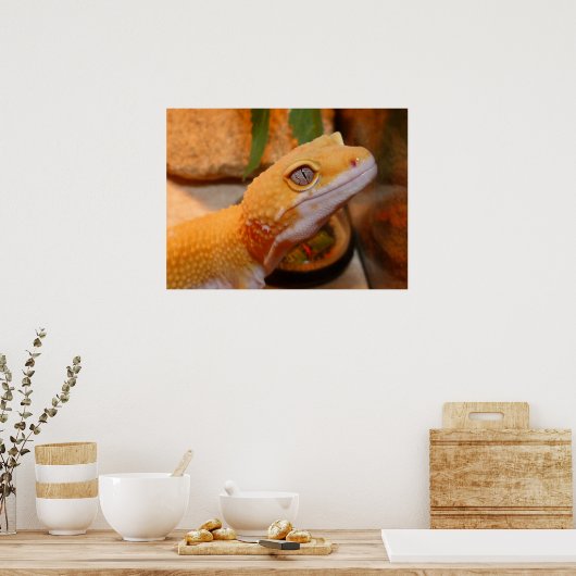 Yellow Leopard Gecko Lizard Poster (Küche)