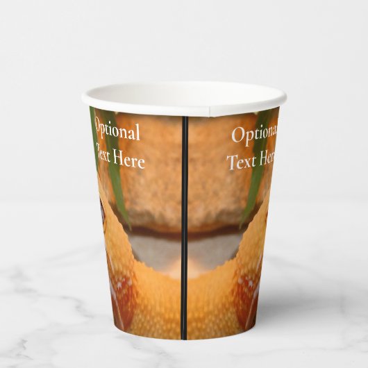 Yellow Leopard Gecko Pappbecher (Rechts)