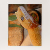 Yellow Leopard Gecko Puzzle (Vertikal)